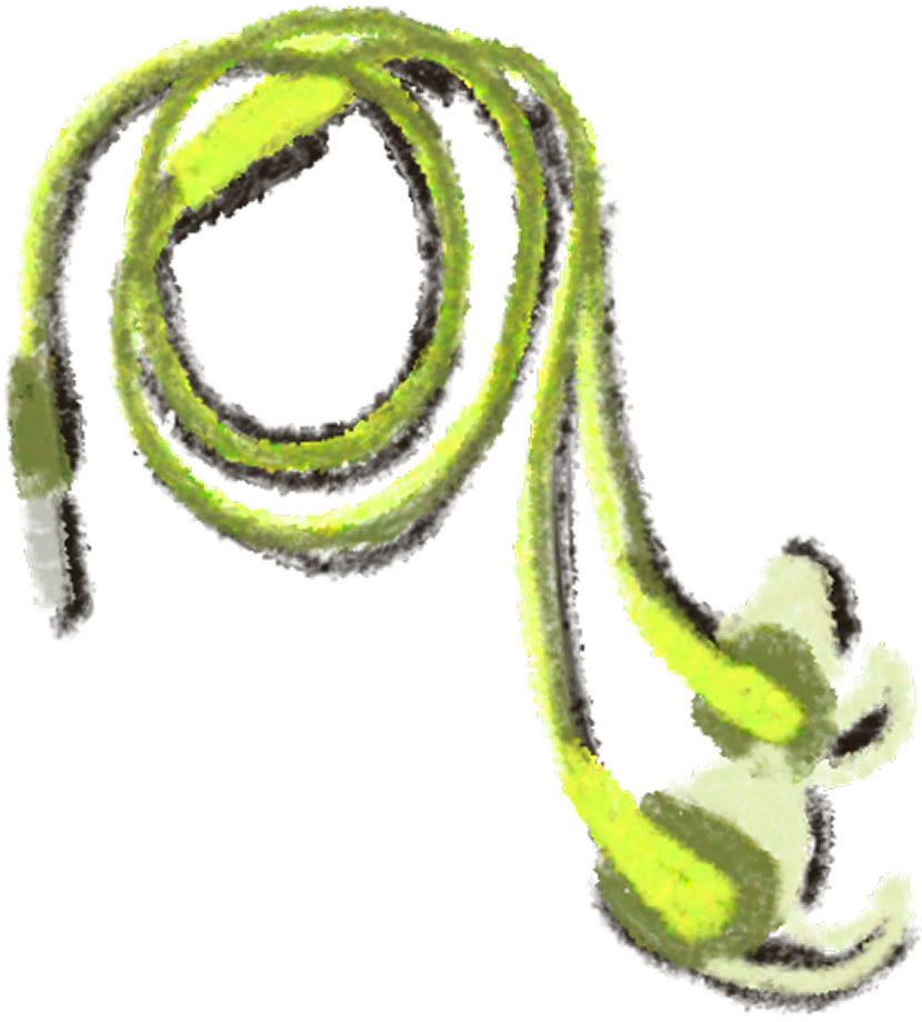 Earbuds